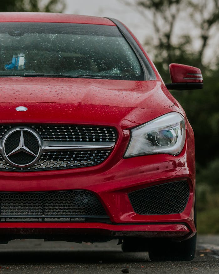 pexels-photo-33944781.jpeg